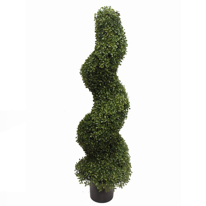 BOXWOOD SPIRAL