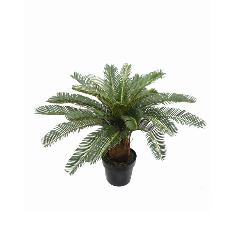 ARTIFICIAL CYCAD