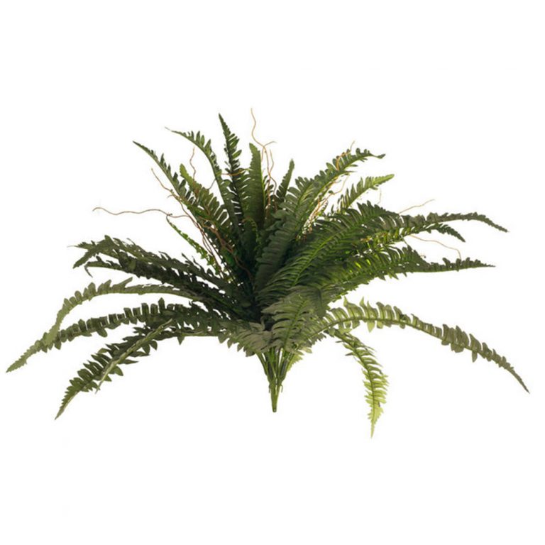 Buy Artificial Ferns Fake Ferns Trees Artificial Plants Online