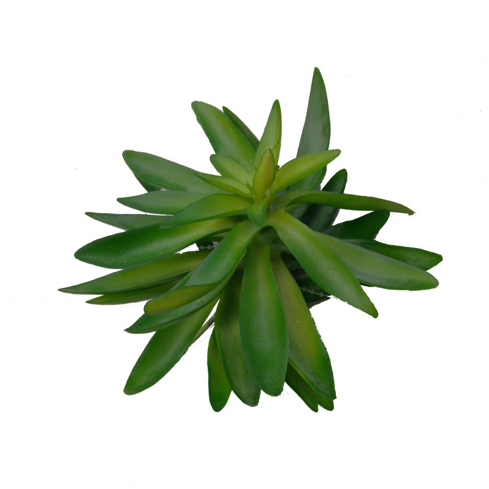 Our Products Plants & Trees Buy Artificial Plants Online