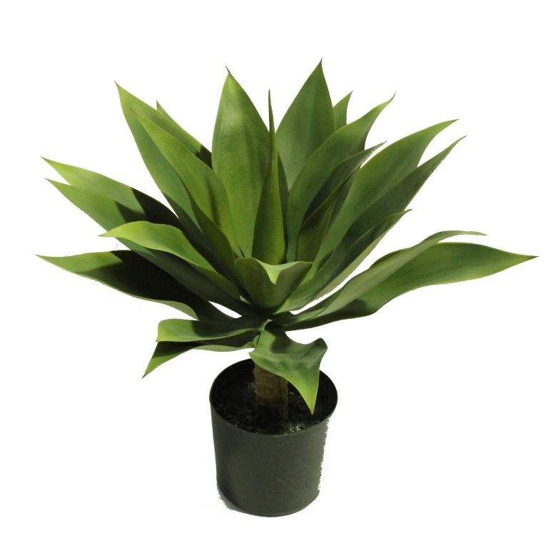 Our Products Plants & Trees Buy Artificial Plants Online