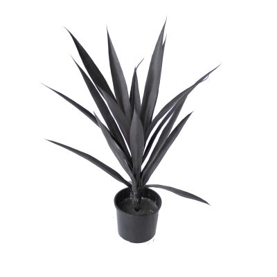 Artificial Yucca Plants in Black