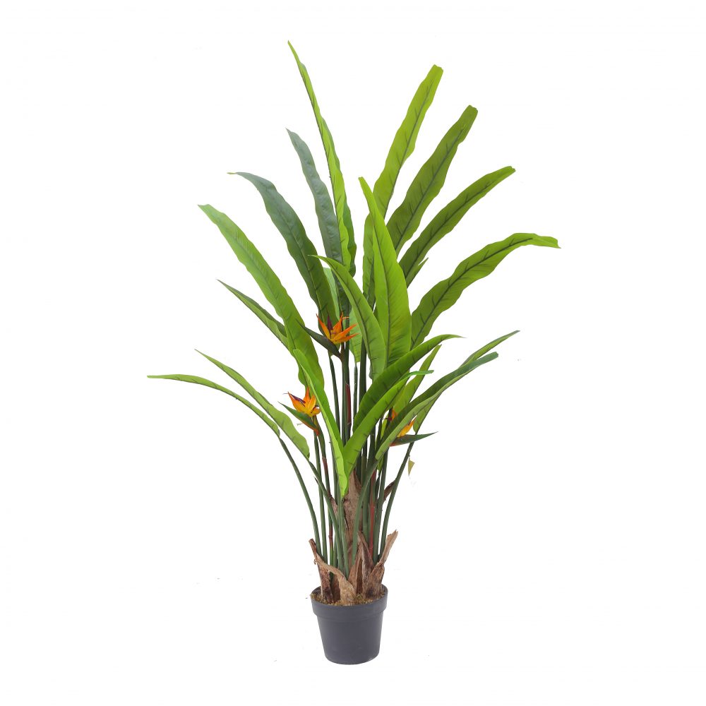 birdofparadise13m Artificial Plants Online
