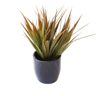Grass Bush With Fibreglass Pot