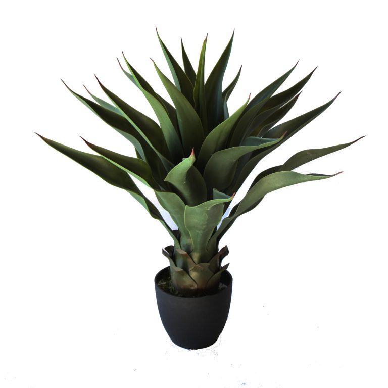 Our Products Plants & Trees Buy Artificial Plants Online