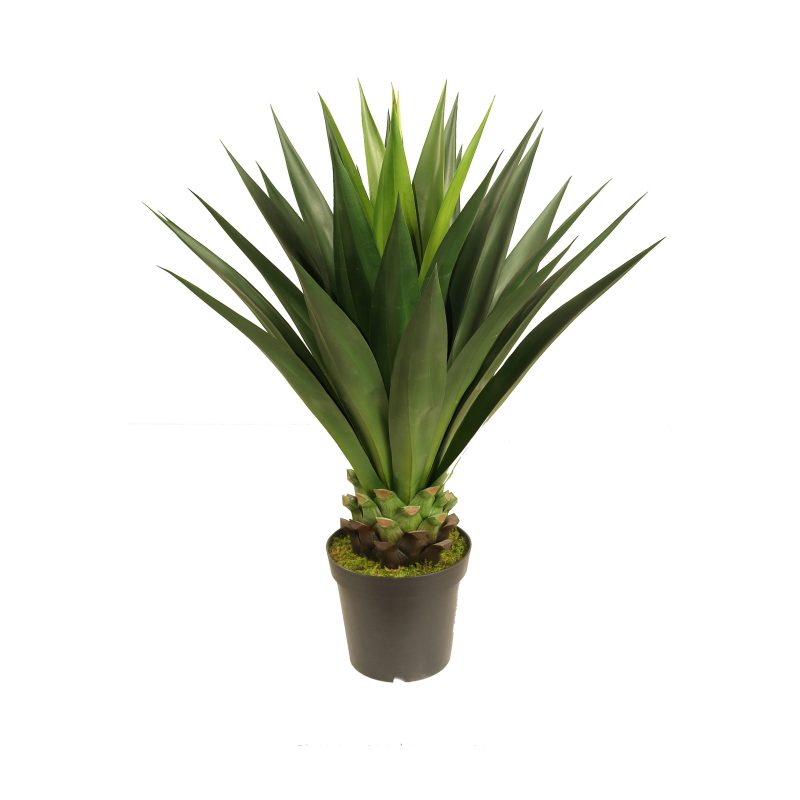 Giant Agave 1m UV Stabilised
