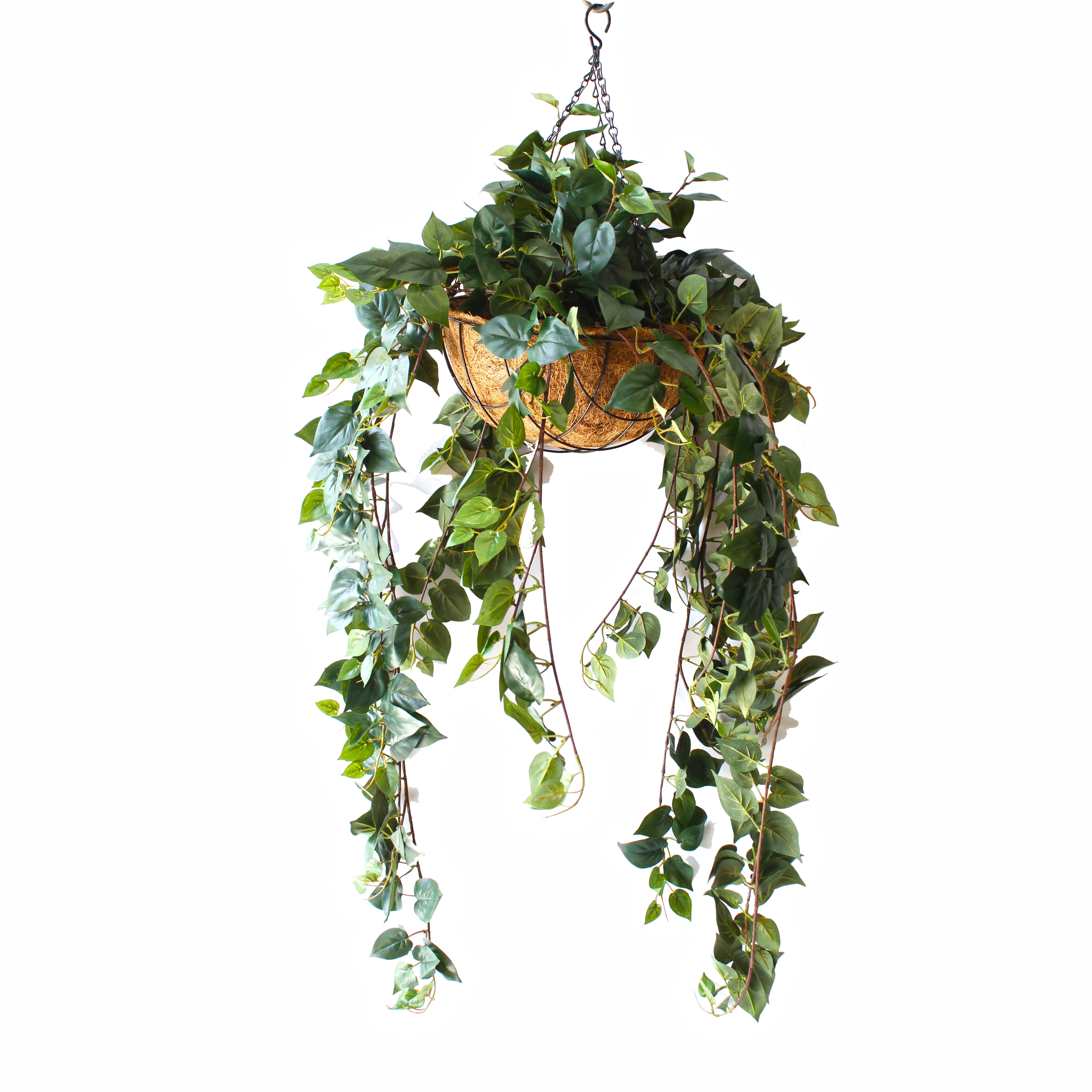 Double Philo Vine 1m Complete With Hanging Basket Artificial Plants Online