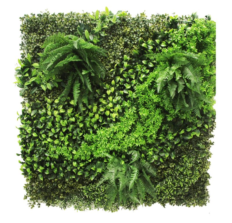 Green Lush no FLower - vertical wall garden