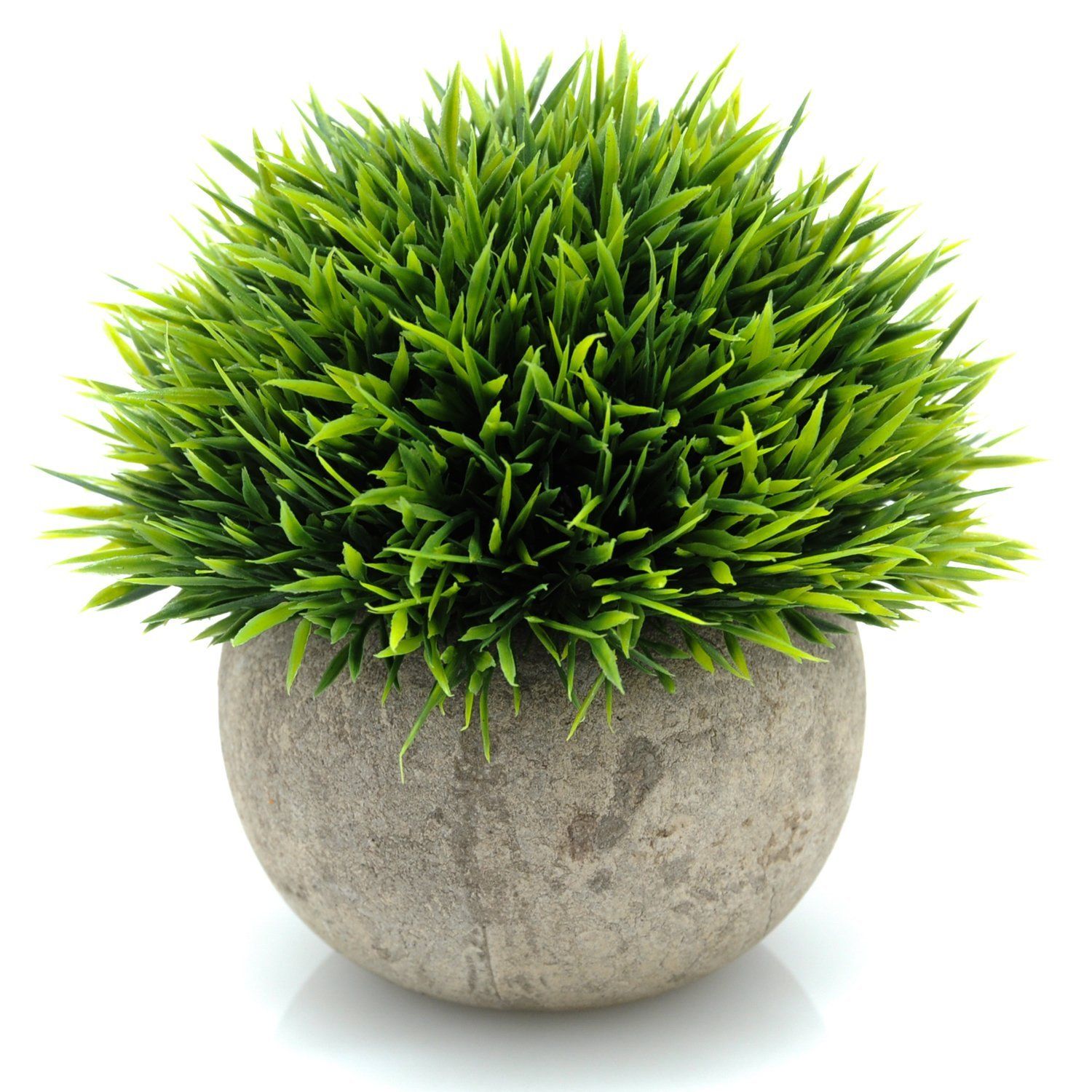 plants plant pot artificial grass potted mondo ball