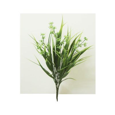 Grass Bush with white flower