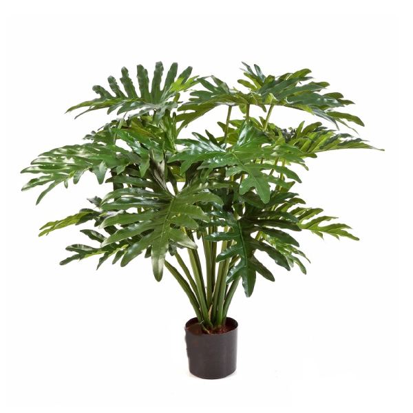 Philodendron plant - Faux Plants