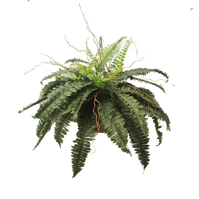 Boston - Faux Plants