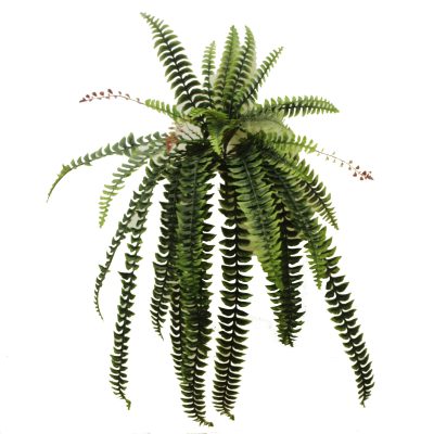 Boston Fern - Artificial Plants