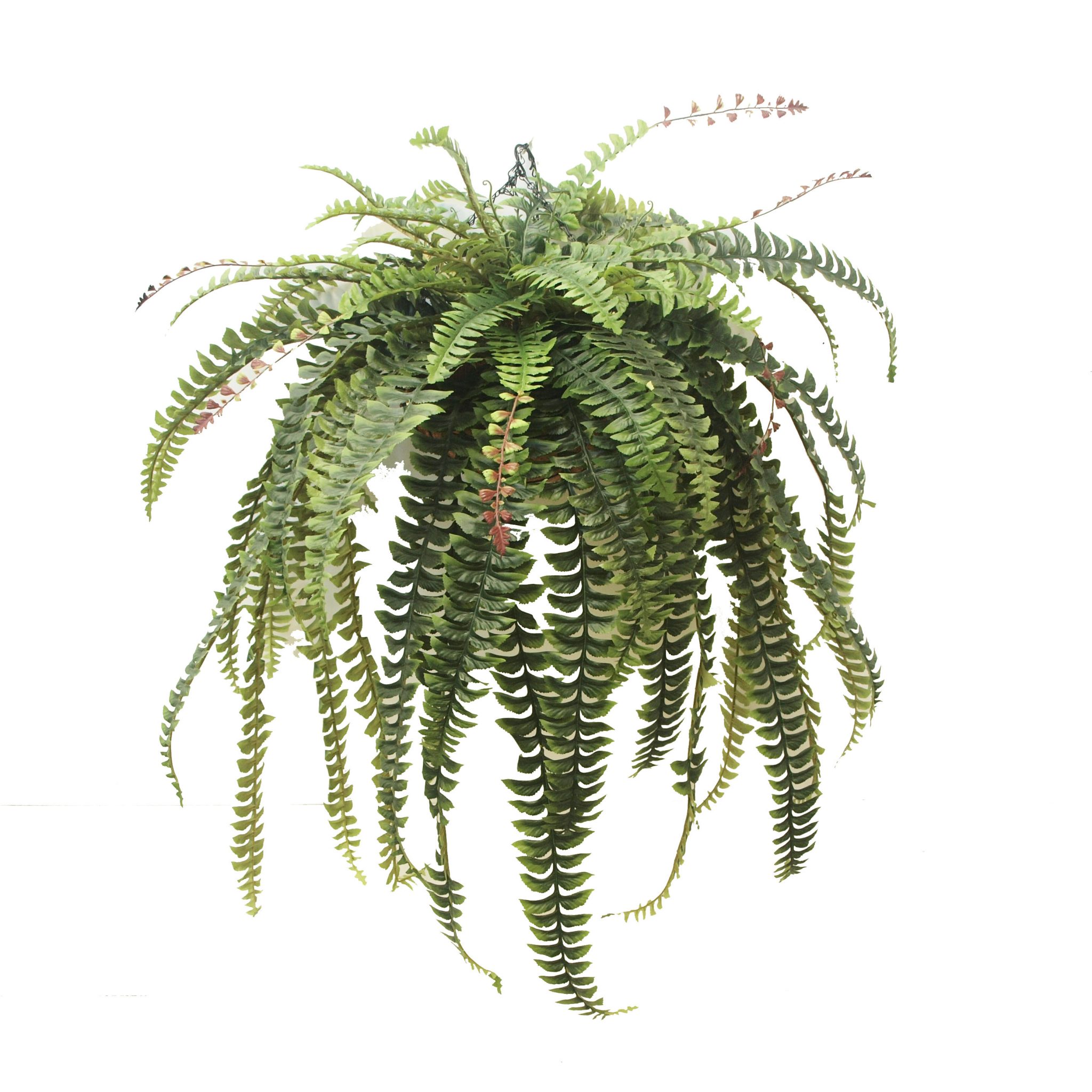 Artificial Lush Boston Fern Hanging Basket 110cm