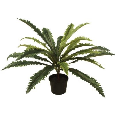 margarintum fern - Fake Plants