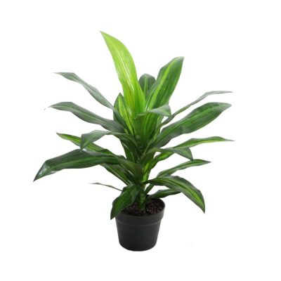 Dracena Bush - Artificial Plants