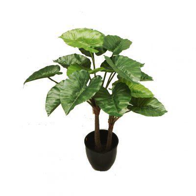 Alocasia Plant | Faux Plants