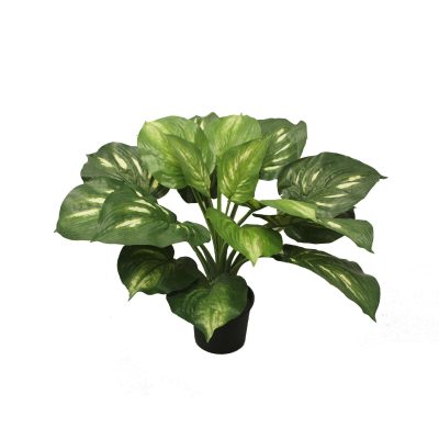 Hosta Plant | Fake Plants