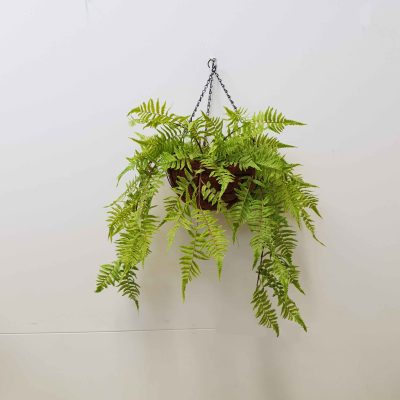 Hanging River Fern | Artificial Hanging Plants