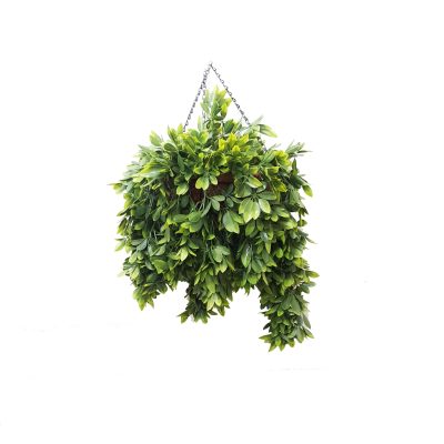 Triple Scheflera Hanging Vine basket