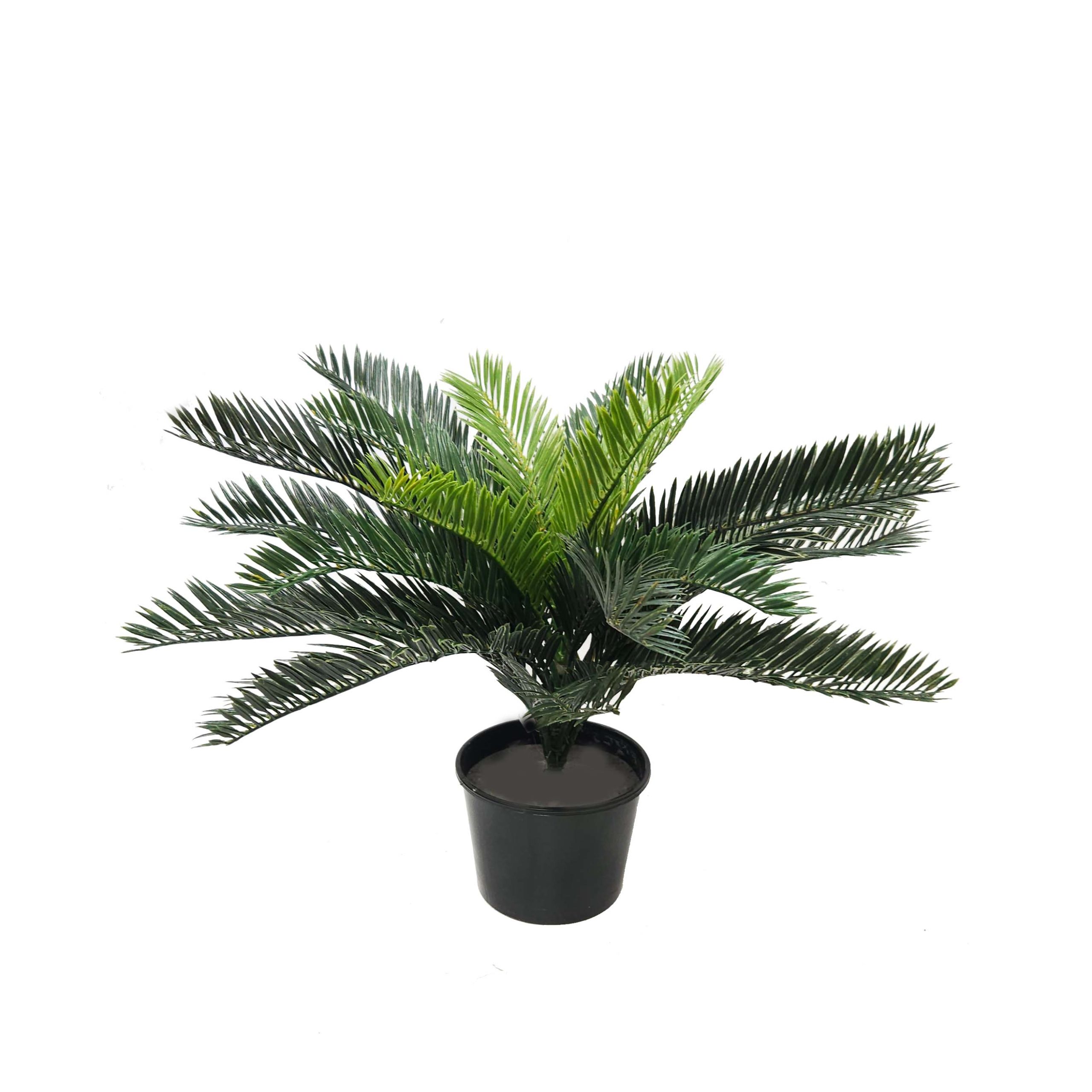 Artificial Cycad Potted