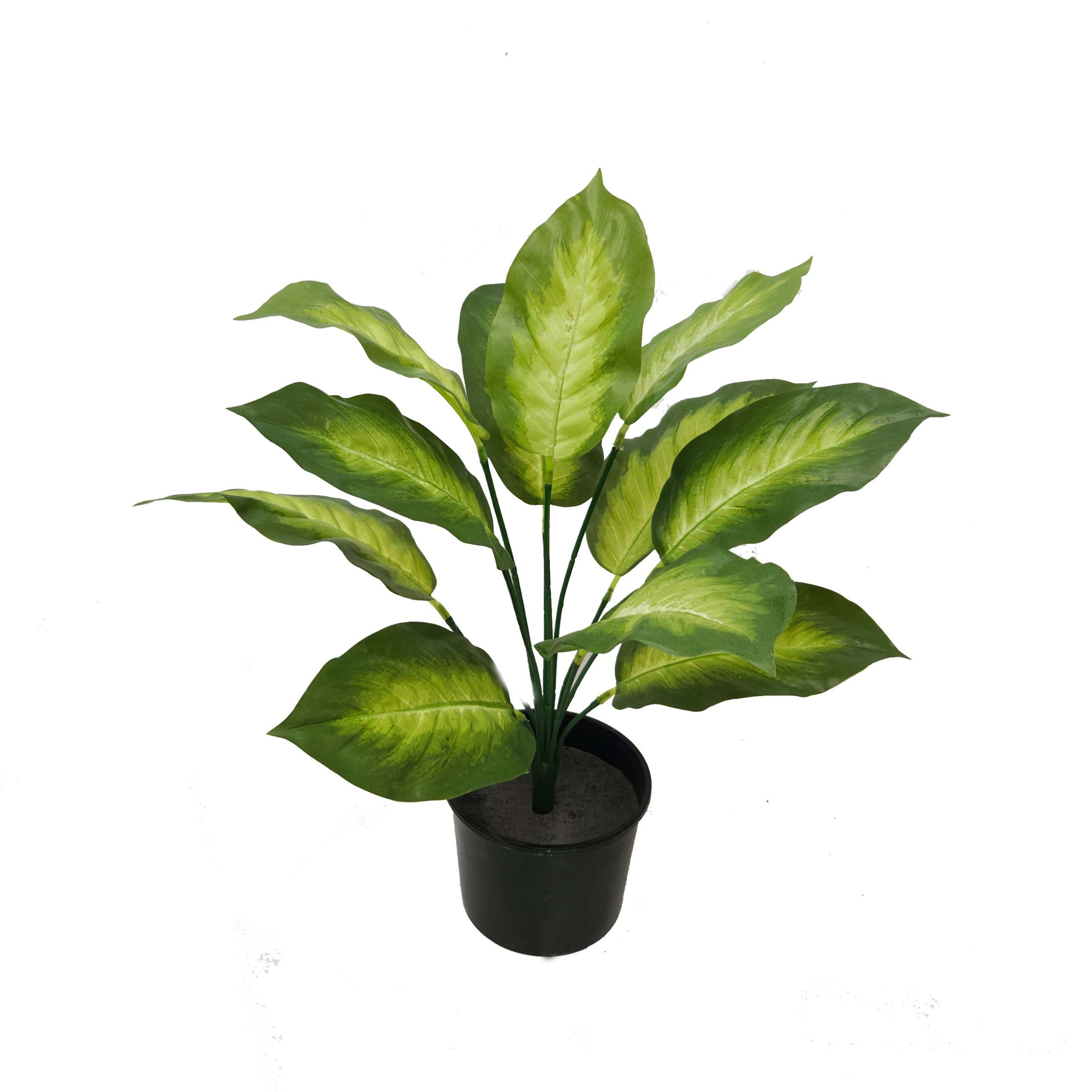 Artificial Golden Dieffenbachia Bush Real Touch potted