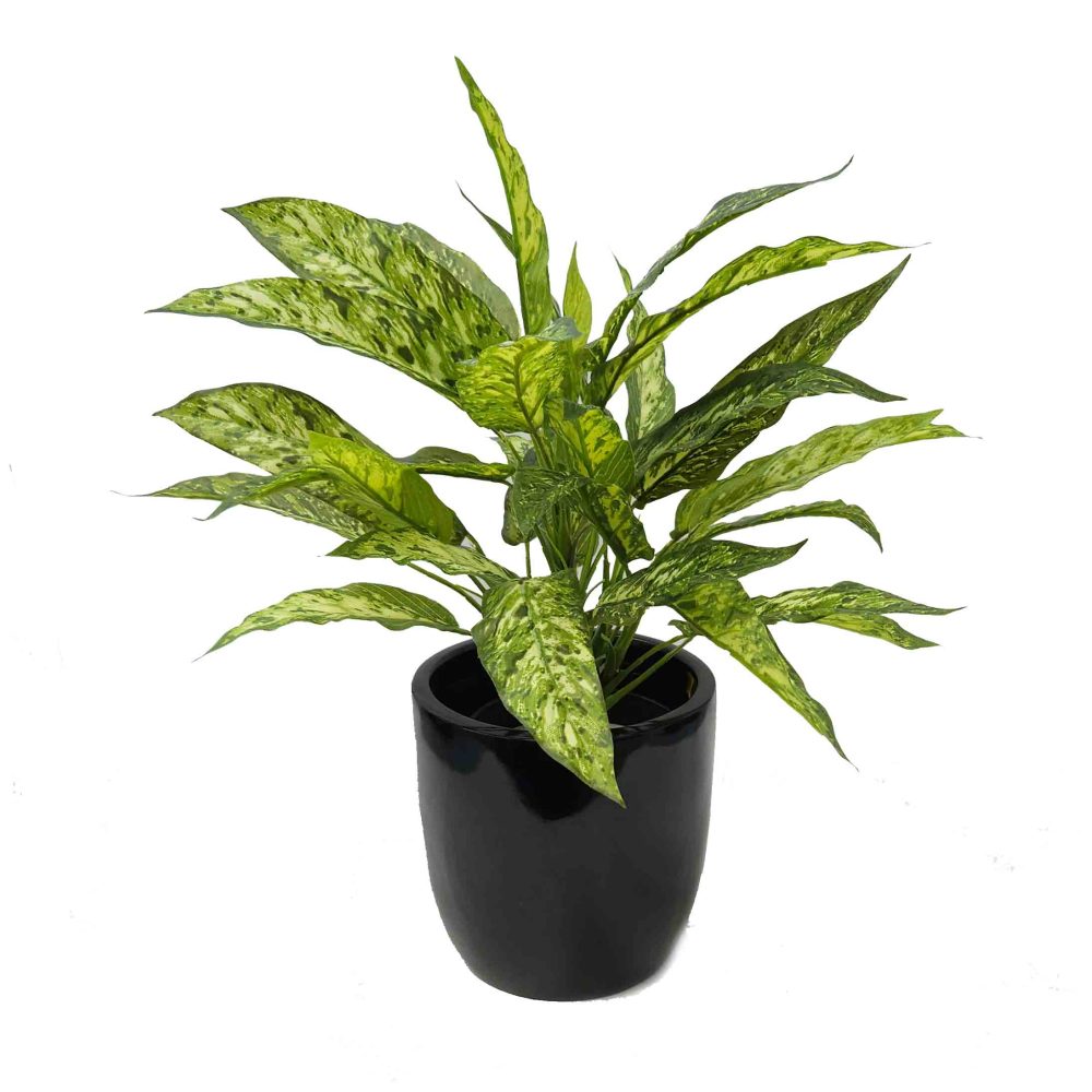 Our Products Plants & Trees Buy Artificial Plants Online