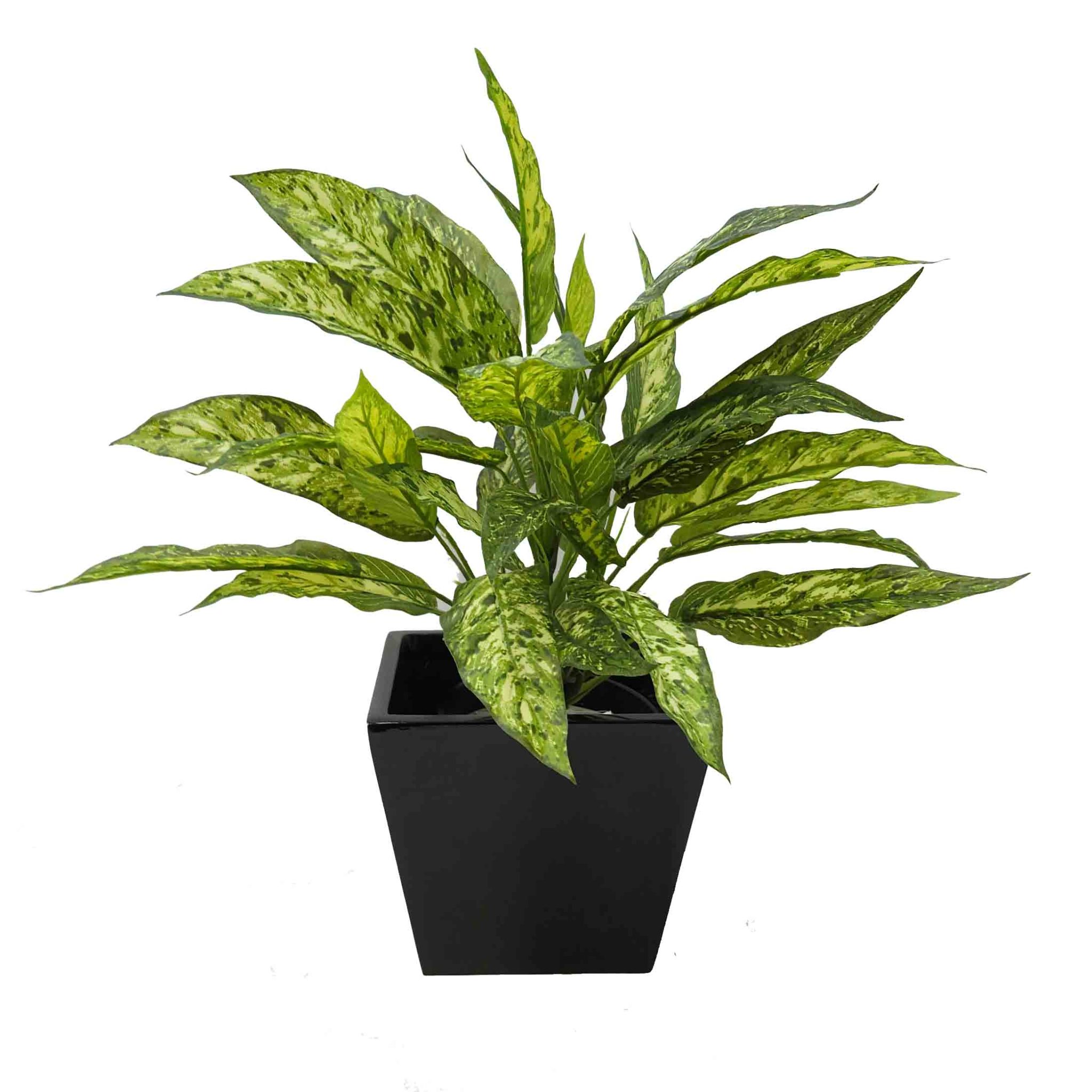 Our Products Plants & Trees Buy Artificial Plants Online