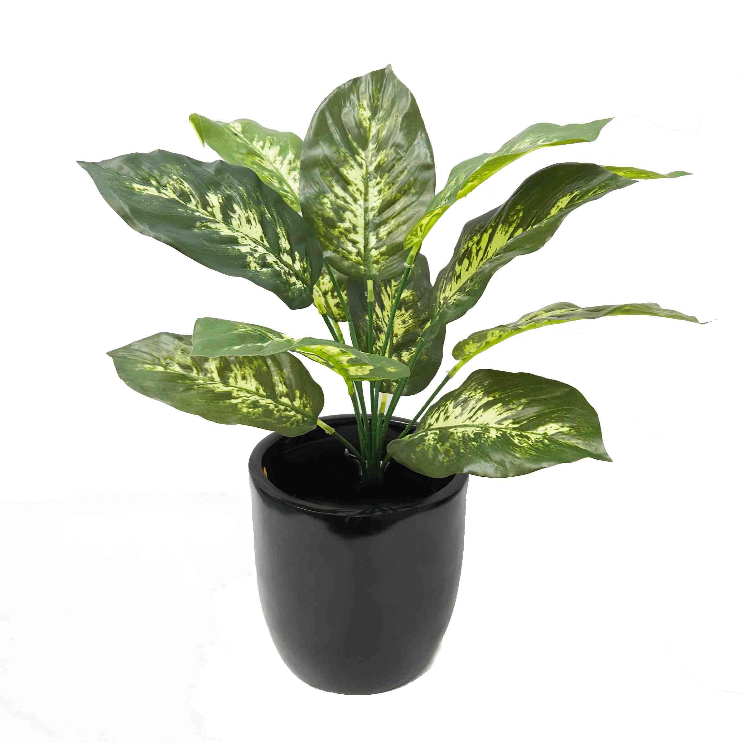 Artificial Dieffenbachia Plant in Fiberglass Pot | artificial plant | table plant