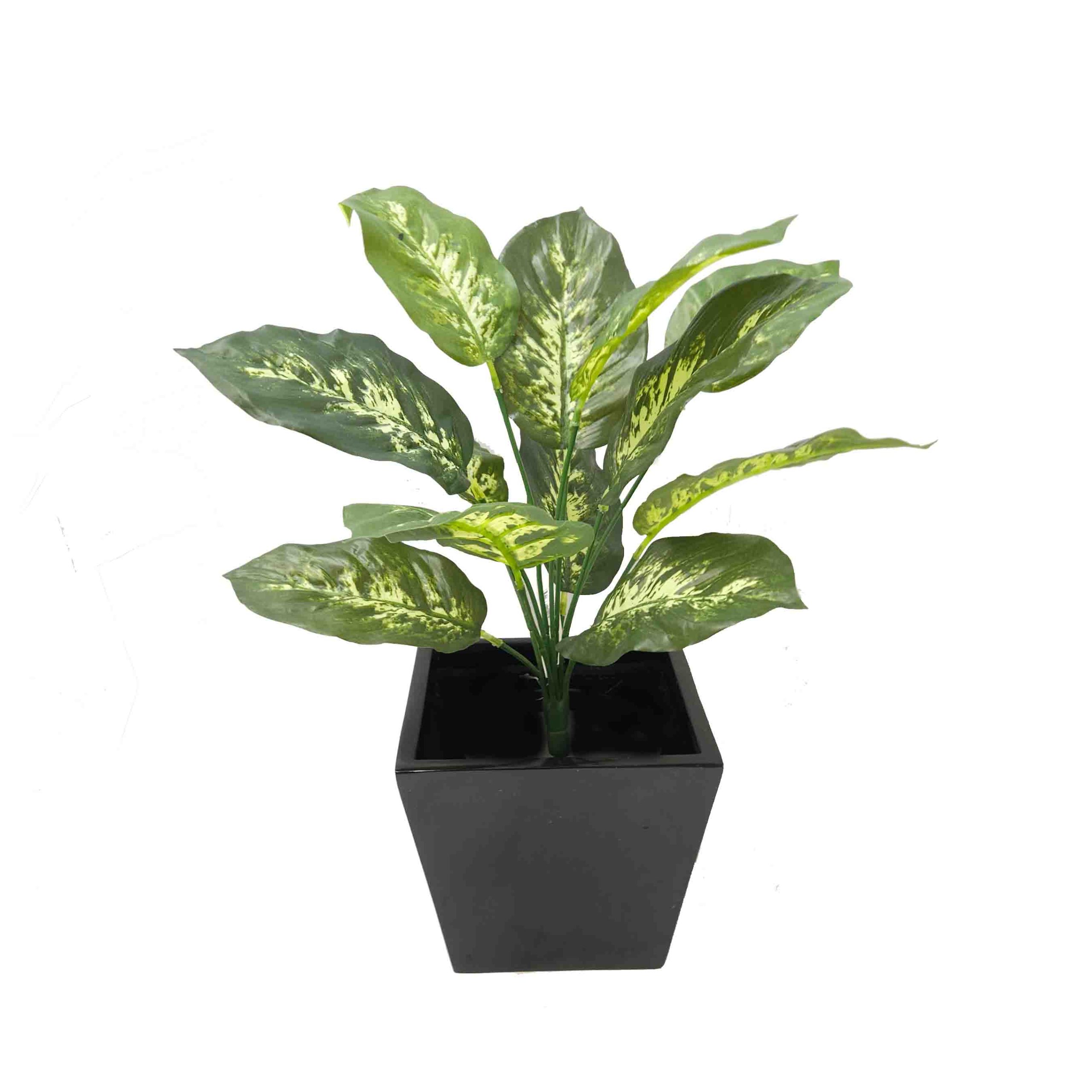 Artificial Dieffenbachia Plant in Fiberglass Pot | artificial plant | table plant