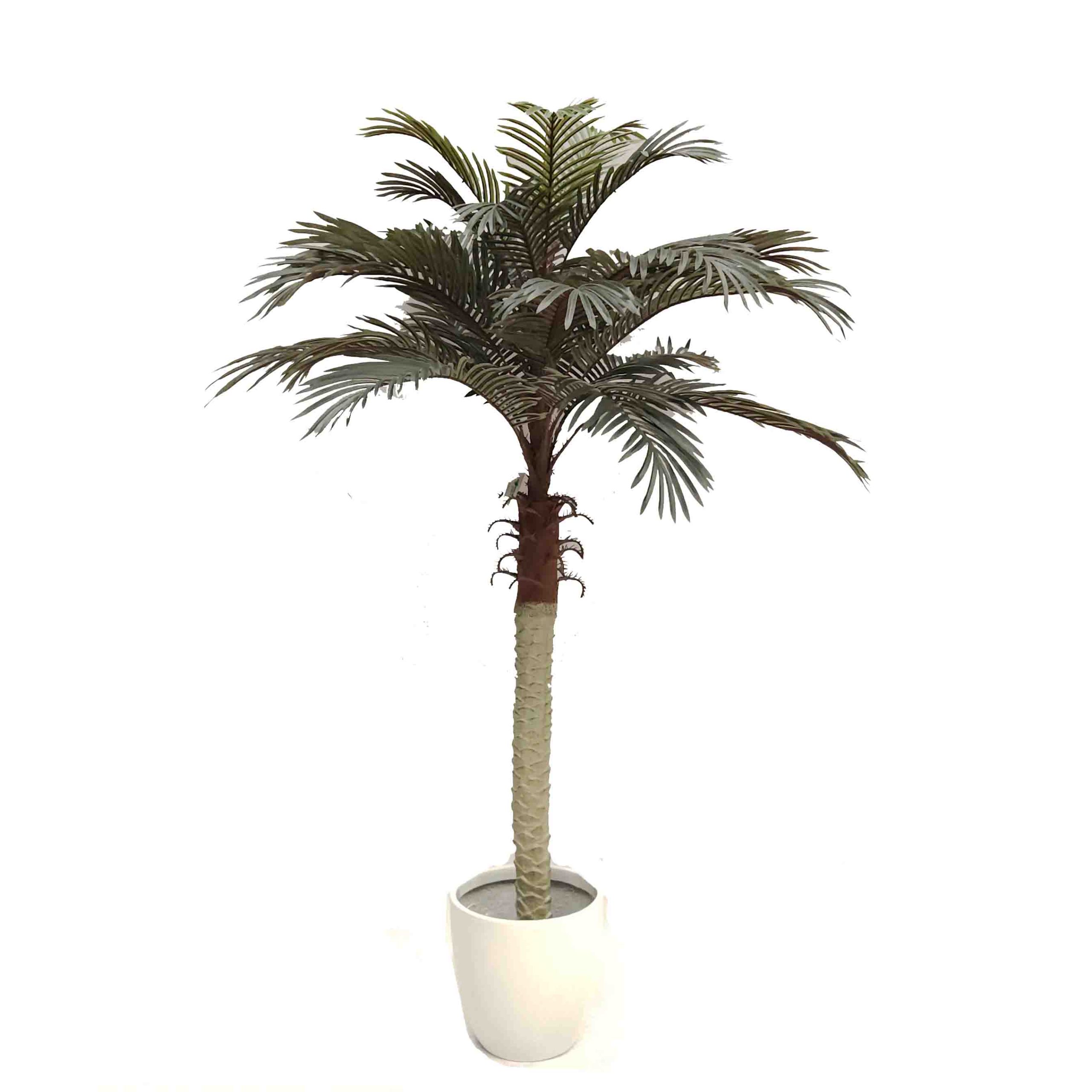 artificial outdoor plant | phoenix palm tree | conifer tree | fake cypress tree | artificial conifer tree | UV treated plants | faux cypress tree | artificial plants