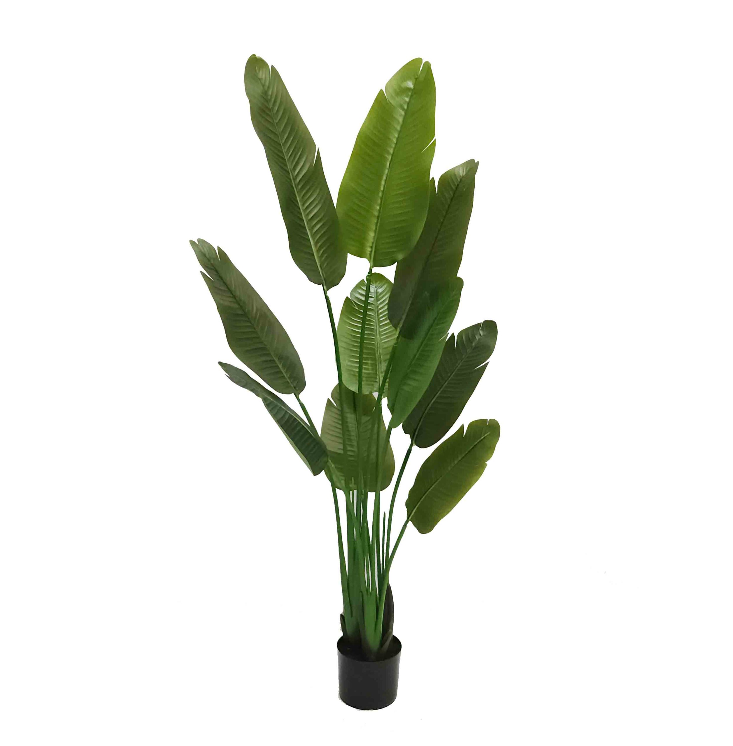 artificial plant | bird of paradise | artificial bird of paradise | faux plant | fake plants | banana leaf plant | faux trees | UV treated plants | fibreglass pot | Decorative pots | traveler palm