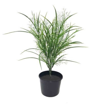 Baby's Breath Flower | artificial flower bush | fake plants | Grass Plant | artificial grass bush