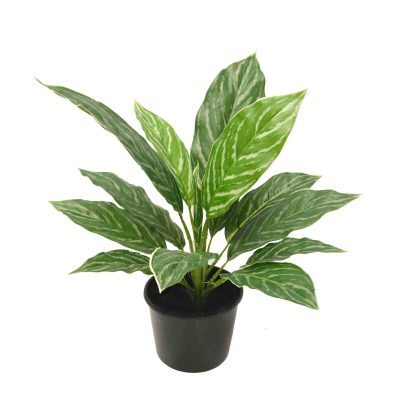 Aglaonema Bush | fake shrubs | artificial outdoor shrubs | UV resistant plants | outdoor fake plants | shrubs | rosemary bush