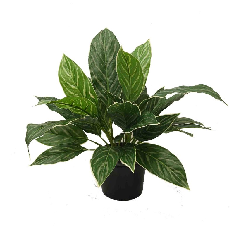 aglaonema bush | artificial plants | artificial shrub | fake plant | UV stabilised plant | UV resistant plant | fake plants outdoors