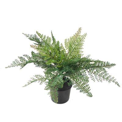 ruffle fern | faux fern | artificial fern