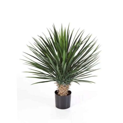artificial plants | yucca plant | UV stabilized Yucca | Outdoor Yucca | fake Yucca | outdoor plants | artificial yucca Tree