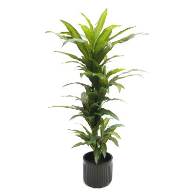 Artificial Dracaena Plant | Dracaena Tree | Fake Dracaena Tree | Artificial Pot Plant