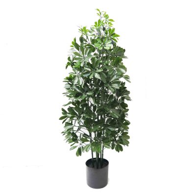 artificial pittosporum tree | artificial plant | UV resistant plant | UV stabilised outdoor artificial plant | schefflera plant