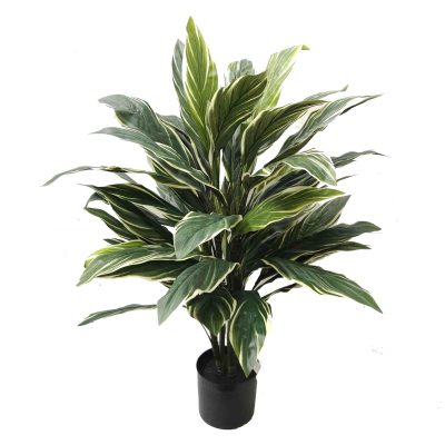 cordyline plant | artificial cordyline plant | chunky cordyline plant | artificial plant | artificial table top plant | fake plant