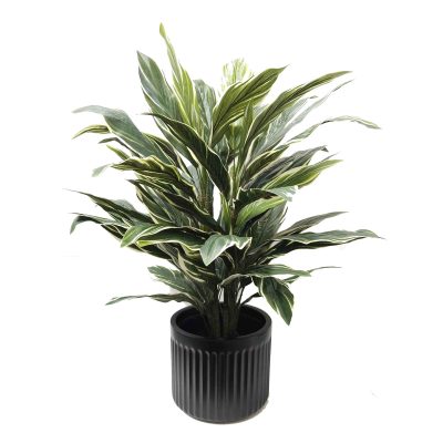 cordyline plant | artificial cordyline plant | chunky cordyline plant | artificial plant | artificial table top plant | fake plant