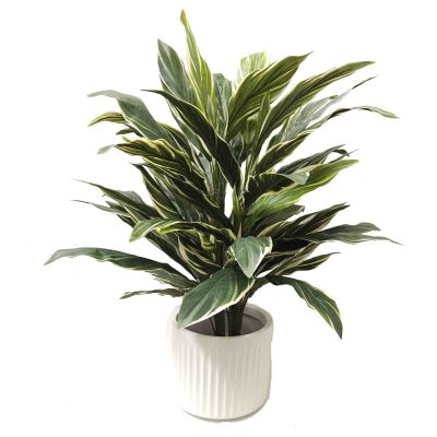 cordyline plant | artificial cordyline plant | chunky cordyline plant | artificial plant | artificial table top plant | fake plant