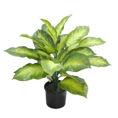 dieffenbachia plant | artificial dieffenbachia plant | pot plant | office planters | fake table top plants | real touch plants