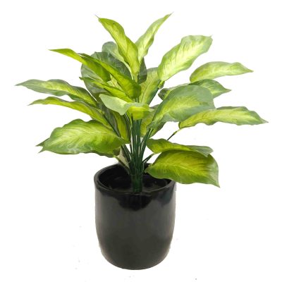 dieffenbachia plant | artificial dieffenbachia plant | pot plant | office planters | fake table top plants | real touch plants