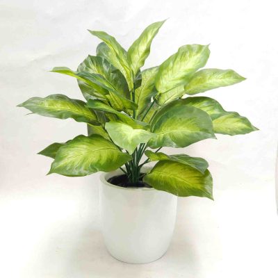 dieffenbachia plant | artificial dieffenbachia plant | pot plant | office planters | fake table top plants | real touch plants