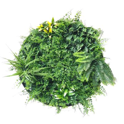 vertical garden wall | wall plants | vertical garden disc | wall decor