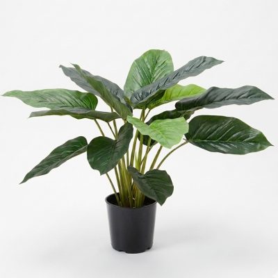 Artificial Philodendron Plant | Faux Pot Plant | Real touch artificial plant