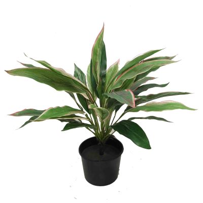 Deluxe Cordyline Bush 43cm with Real Touch Leaves UV Stabilised Potted