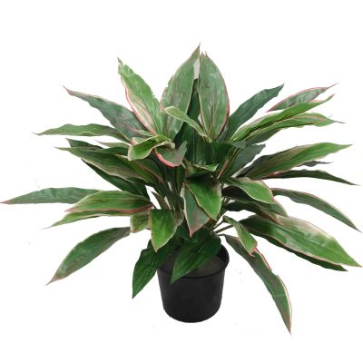 Double Deluxe Cordyline Bush 43cm with Real Touch Leaves UV Stabilised Potted