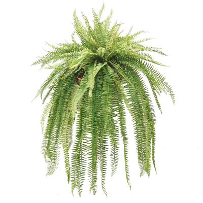 Artificial Sword Fern Basket | Hanging Fern Basket | Lush Fern Basket